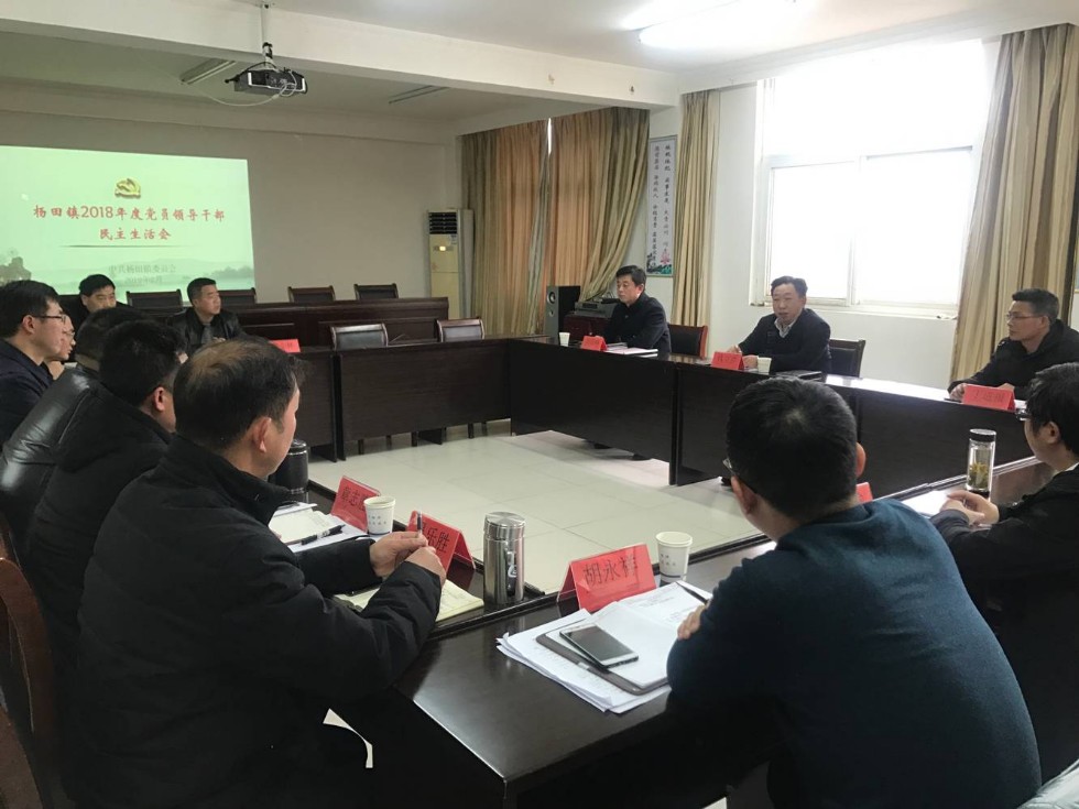 杨田镇召开2018年度民主生活会.png
