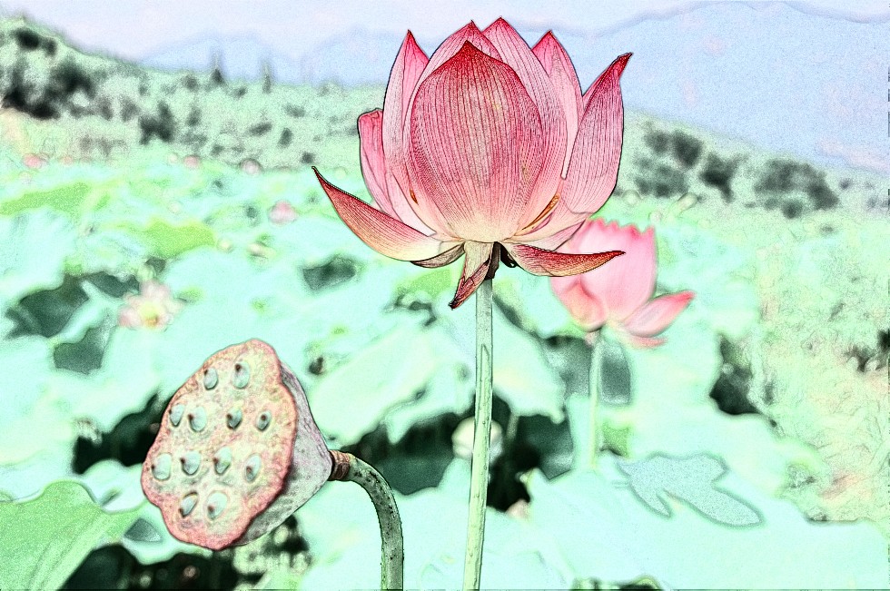 7_副本2.jpg